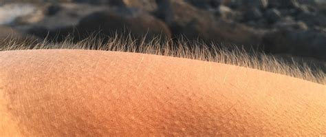 Los Pelos De Punta Los Pelos De Punta