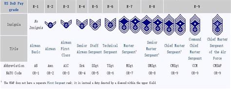 Los Rangos Del Cuerpo De Marines De Los Ee Uu Milit R Wissen Los Rangos Del Cuerpo De Marines De Los Ee Uu Milit R Wissen