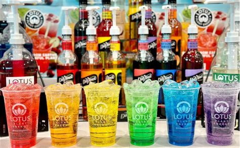 Lotus Near Me Drink