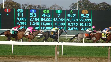 Make Money Trading Fixed Odds In Horse Racing