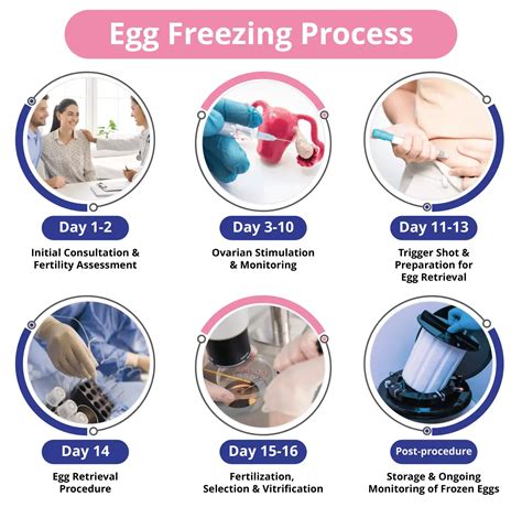 Mental Health For Egg Freezing