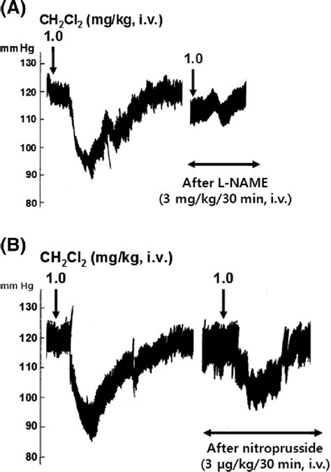 Methyl Larginine Ir: A Beginner's Guide To Its Uses