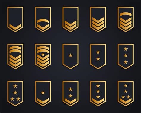 Military Insignia Soldier Icon Set Chevron Stripes Badge Gold Logo