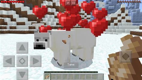 Minecraft What Do Polar Bears Eat
