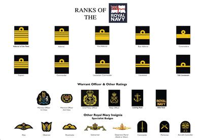 Modern Navy Ranks Wall Art Large A3 Royal Navy Ranks Poster British Military Rank Structure Chart 1945 Present A3 Navy Poster