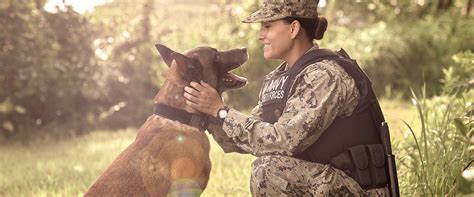 Navy Stories Master At Arms As A Navy Dog Handler Navy Com