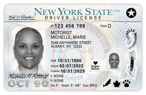 Ny Issues New Driver S Licenses With Enhanced Security Features Ny Issues New Driver S Licenses With Enhanced Security Features