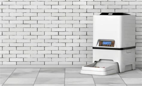 Outdoor Automatic Dog Feeder And Waterer 25 Pound 5 Gallon At Vincent