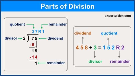 Uncover the Key Parts of a Division Problem for Better Math Understanding