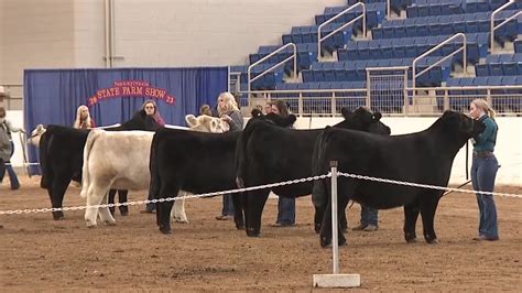 Pennsylvania Farm Show Gets Underway In Harrisburg Fox43 Com