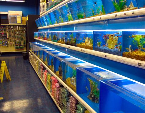 Pet Store Reptile And Fish Store Near Me Pet Shop Fish Tank Shop Near Me Pet