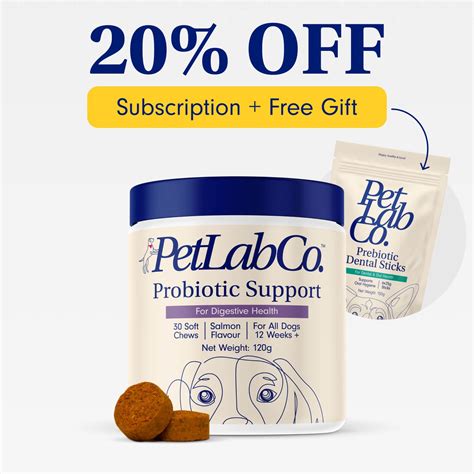 Petlab Co Probiotic Chews For Dogs Results Youtube