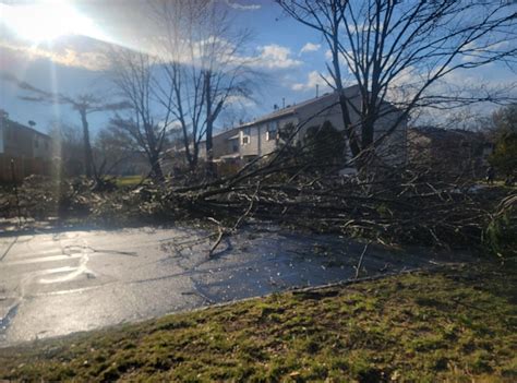 Photo Tornado Damage On Quakerbridge Road In Princeton Junction New Jersey