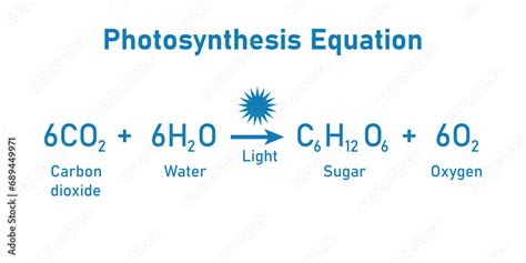 Photosynthesis Equation Formula Products Chemtalk Photosynthesis Equation Formula Products Chemtalk