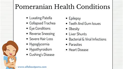 Pomeranian Health Issues