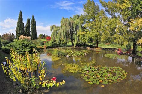 Master the Pond in Spanish: A Guide for Curious Learners