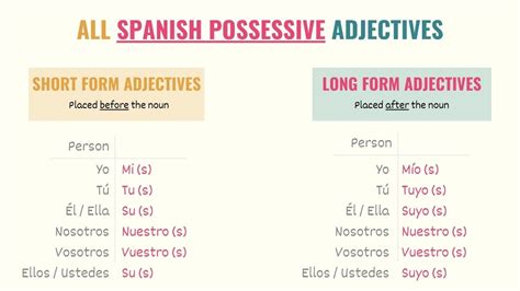 Mastering Possessive Adjectives Spanish: Quick Guide Inside!