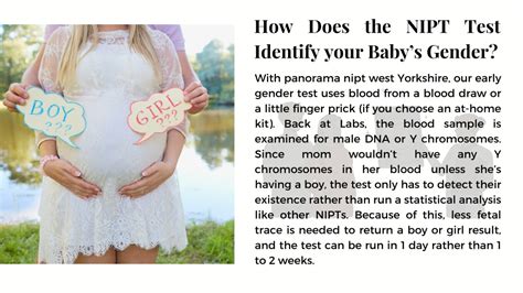 Ppt What Is A Nipt Test How Does The Nipt Test Show Gender