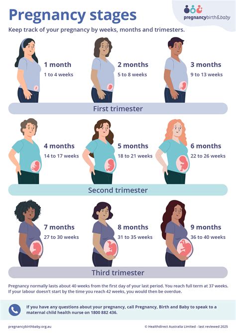Pregnancy Month By Month