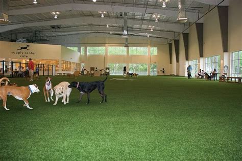 Private Indoor Outdoor Dog Park Unleashed Pets Private Indoor Outdoor Dog Park Unleashed Pets