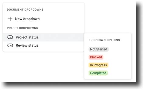 Project Health Drop Down Options