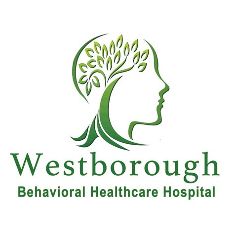 Psych Nurse Practitioner Adult Amp Child Units Westborough Behavioral
