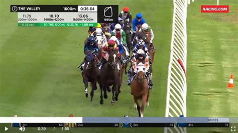 Race Replays Horse Racing Video Replays