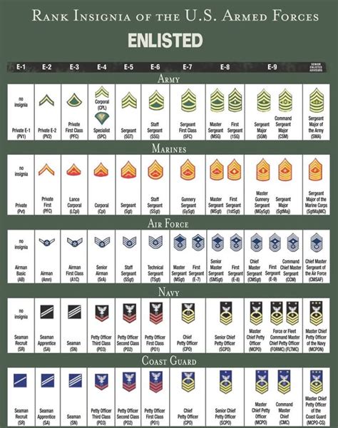 Rank Structure And Insignia Of Enlisted Military Personnel All Rank Structure And Insignia Of Enlisted Military Personnel All