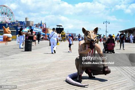 Rat Island New York Photos And Premium High Res Pictures Getty Images
