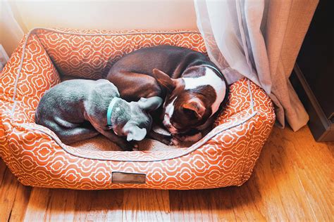 Rebecca Nelson Design Boston: Interior Mastery For Luxury Living