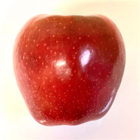 Red Delicious Apples 6Ea Teddy Bear Fresh Produce Red Delicious Apples 6Ea Teddy Bear Fresh Produce
