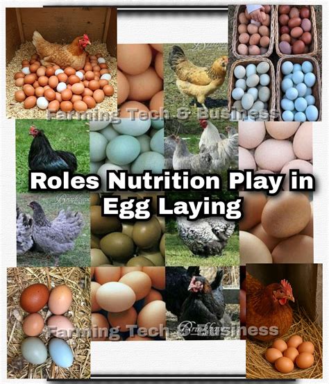 Egg-Laying Ability Explained