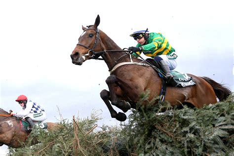 Reigning Aintree Hero I Am Maximus Leads Field Of Grand National Declarations Racing Ahead Magazine