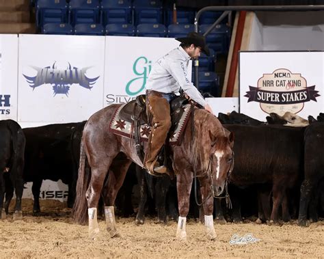 Reyzin The Cash Metallistic By Metallic Cat 512 712 6666 Incentive Breeder S Invitational Ncha Stallion Foal