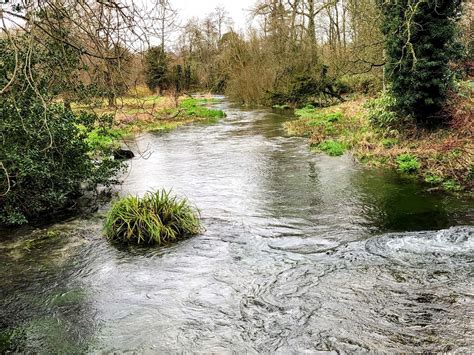 River Lambourn Wikipedia