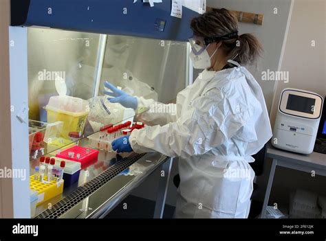 Rome Laboratory Hi Res Stock Photography And Images Alamy