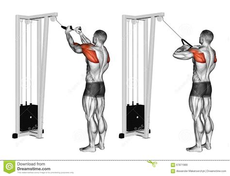 Rope High Pull Rope High Pull