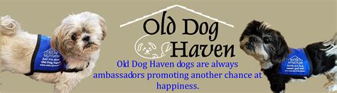 Roscoe Old Dog Haven