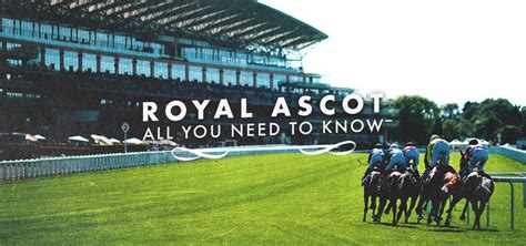 Royal Ascot Festival 2025 Best Betting Offers And New Sign Up Deals From Our Partners