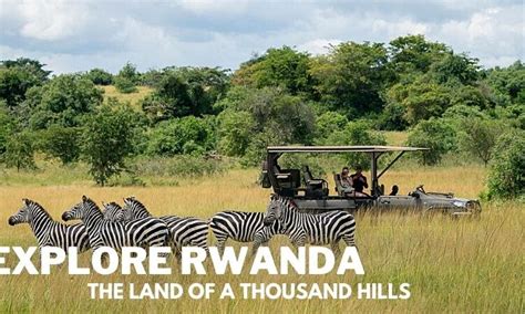 Rwanda Wildlife Safaris Land Of A Thousand Hills