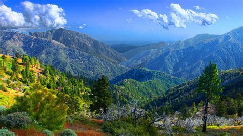 San Gabriels Declared National Monument