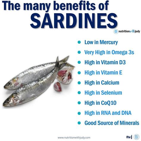 Sardine Nutrition Facts And Health Benefits