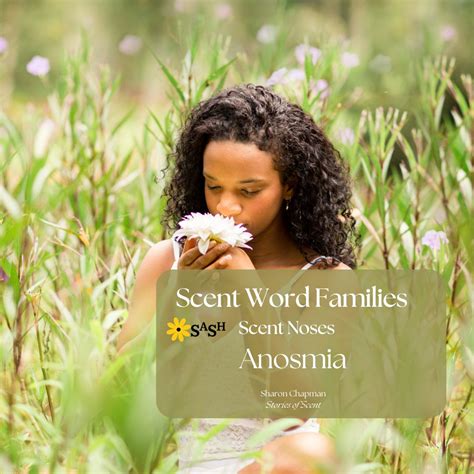 Scent Word Of The Week Brief By Sharon Louise Chapman