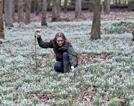 Seasonal Weather Welford Park Newbury Uk 31 Jan 2021 Stock