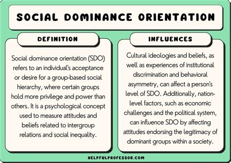 Unpacking Social Dominance Orientation: Insights for a Fairer Society