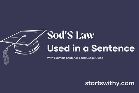 Sod Amp 39 S Law In A Sentence Examples 21 Ways To Use Sod Amp 39 S Law