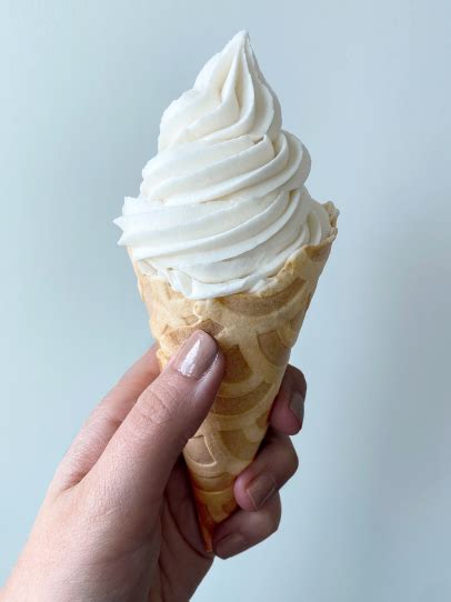Soft Serve Vanilla Ice Cream Recipe Artofit