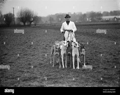 Some Of The Greyhounds That Race At Crayford Greyhound Stadium In The Fields With Their Dog Handler 1937 Stock Photo Alamy