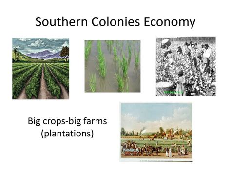 Southern Colonies Economy: Secrets Unveiled