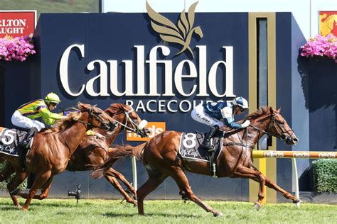 Sporting Life Watch Racing Replays Free Races Caulfield Guineas 2026 Field Tips Odds Results